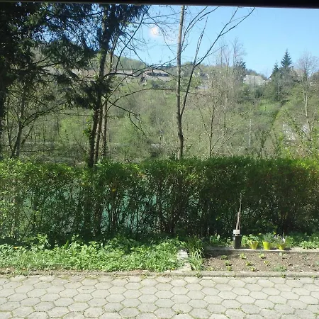 Beautiful Nature 25 Meters From The River Sava *