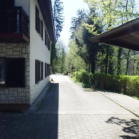 Beautiful Nature 25 Meters From The River Sava *