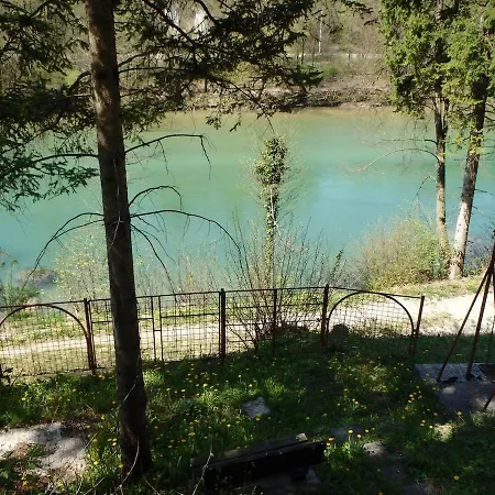 Beautiful Nature 25 Meters From The River Sava